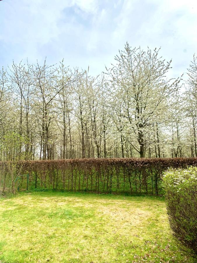 Havre De Paix Aux Portes Des Ardennes Nassogne Dış mekan fotoğraf